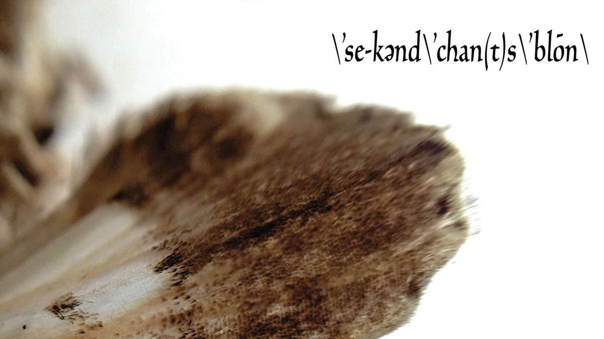 CD – Second Chance Blown